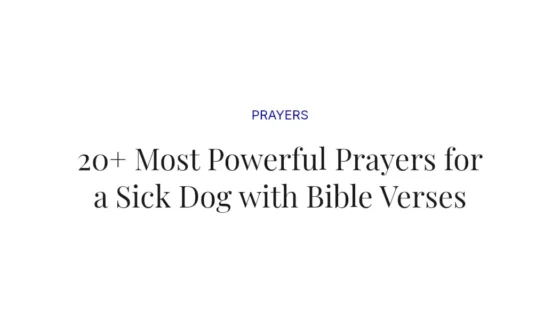 20+ Most Powerful Prayers for a Sick Dog with Bible Verses