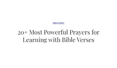 20+ Most Powerful Prayers for Learning with Bible Verses