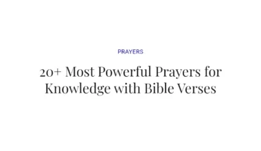 20+ Most Powerful Prayers for Knowledge with Bible Verses