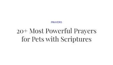 20+ Most Powerful Prayers for Pets with Scriptures