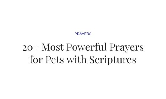 20+ Most Powerful Prayers for Pets with Scriptures