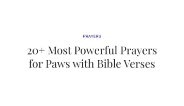 20+ Most Powerful Prayers for Paws with Bible Verses