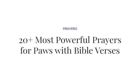 20+ Most Powerful Prayers for Paws with Bible Verses