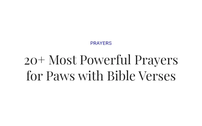 20+ Most Powerful Prayers for Paws with Bible Verses