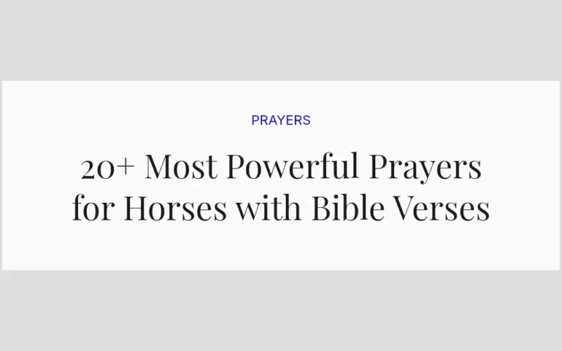 20+ Most Powerful Prayers for Horses with Bible Verses