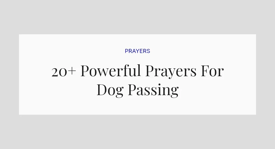 20+ Powerful Prayers For Dog Passing