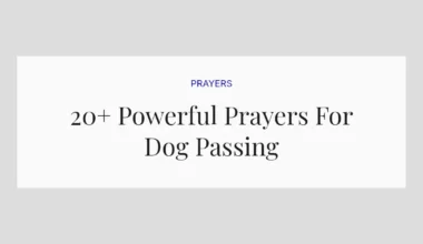 20+ Powerful Prayers For Dog Passing