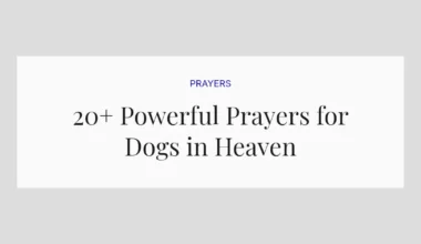 20+ Powerful Prayers for Dogs in Heaven