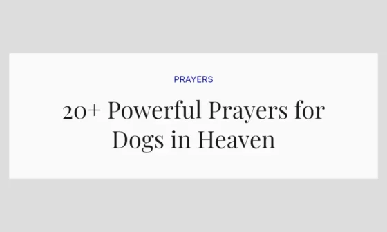20+ Powerful Prayers for Dogs in Heaven