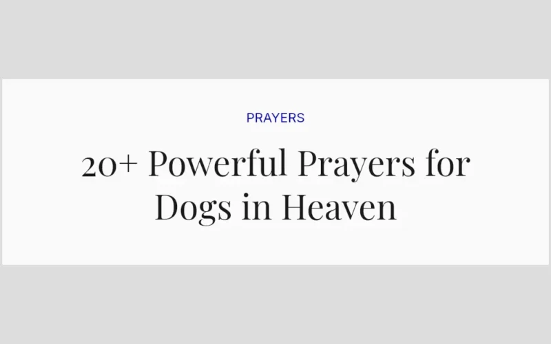 20+ Powerful Prayers for Dogs in Heaven