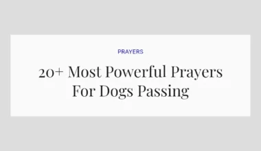 20+ Most Powerful Prayers For Dogs Passing