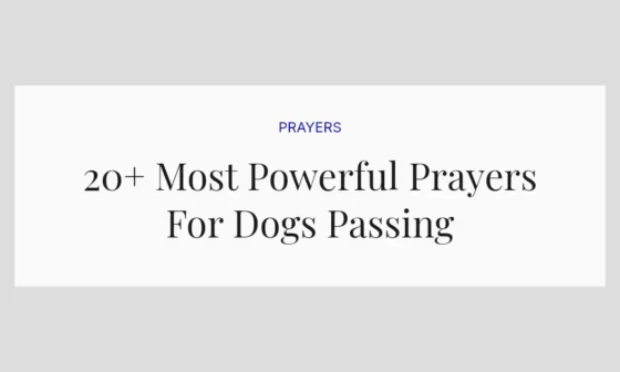 20+ Most Powerful Prayers For Dogs Passing