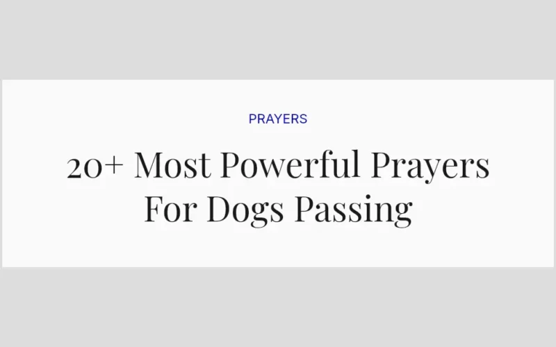 20+ Most Powerful Prayers For Dogs Passing