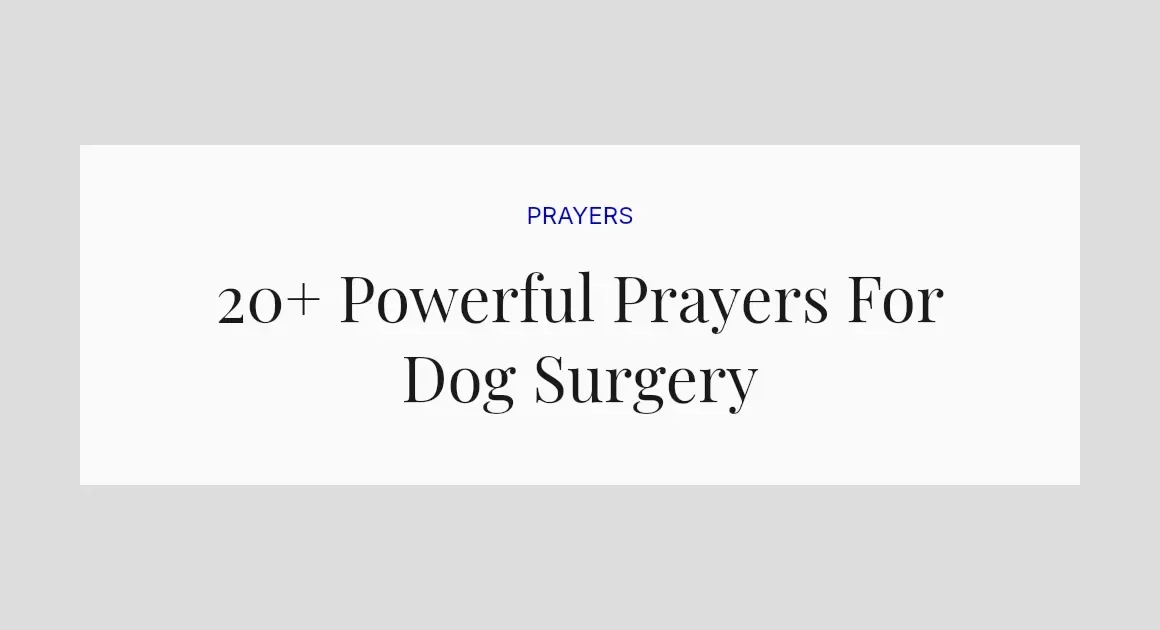 20+ Powerful Prayers For Dog Surgery