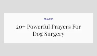 20+ Powerful Prayers For Dog Surgery