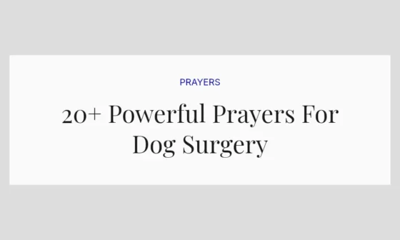20+ Powerful Prayers For Dog Surgery