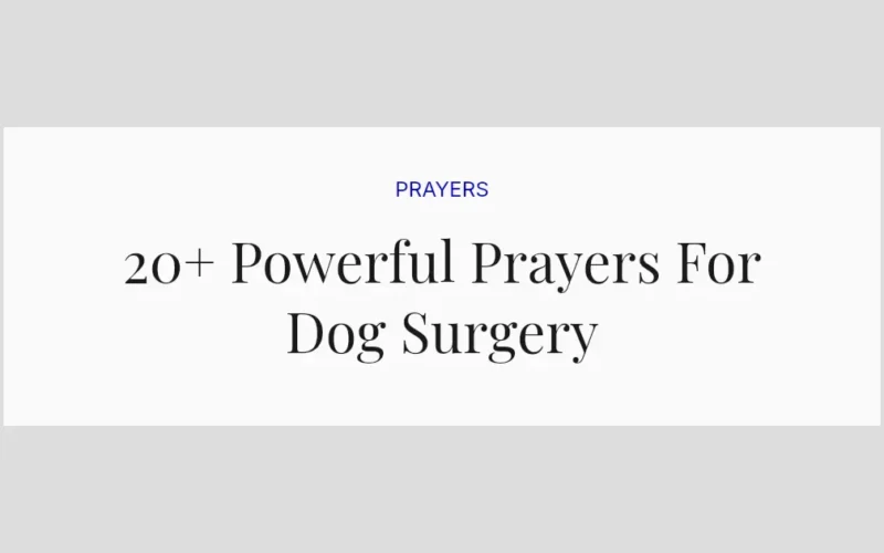 20+ Powerful Prayers For Dog Surgery