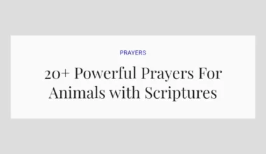 20+ Powerful Prayers For Animals with Scriptures
