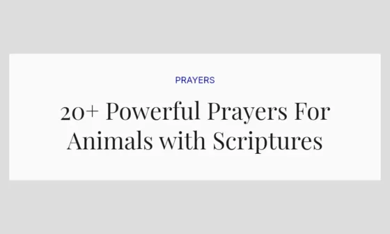 20+ Powerful Prayers For Animals with Scriptures