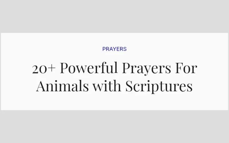 20+ Powerful Prayers For Animals with Scriptures